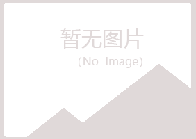 乐山盼夏计算机有限公司